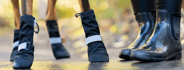 Hot paws rain shop boots