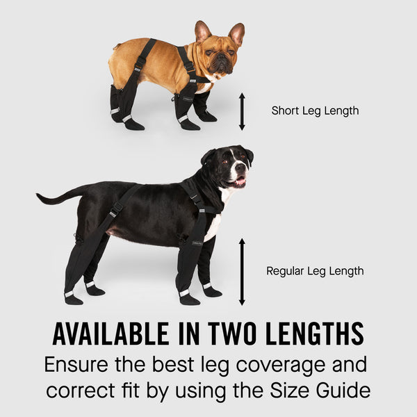 Best Suspender Boots for Dogs: Ultimate Comfort & Durability Guide