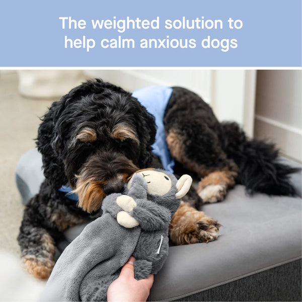 Weighted Dog Anxiety Toy | Canada Pooch