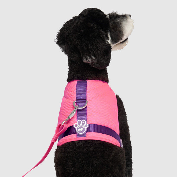 Cool dog 2025 harness and leash