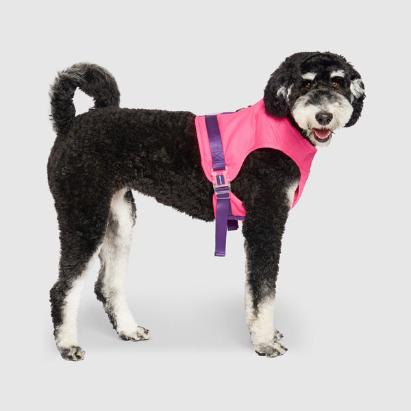 Cool dog 2025 harness and leash