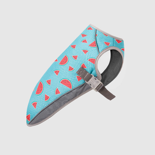 Chill Seeker Dog Cooling Vest | Canada Pooch