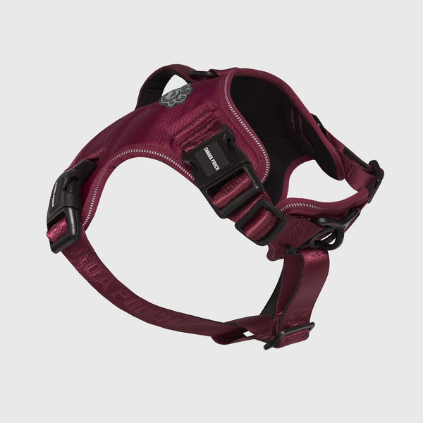 Complete Control Dog Harness for Pullers Canada Pooch