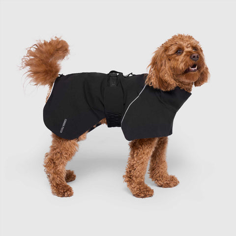 Complete Coverage Dog Raincoat | Canada Pooch