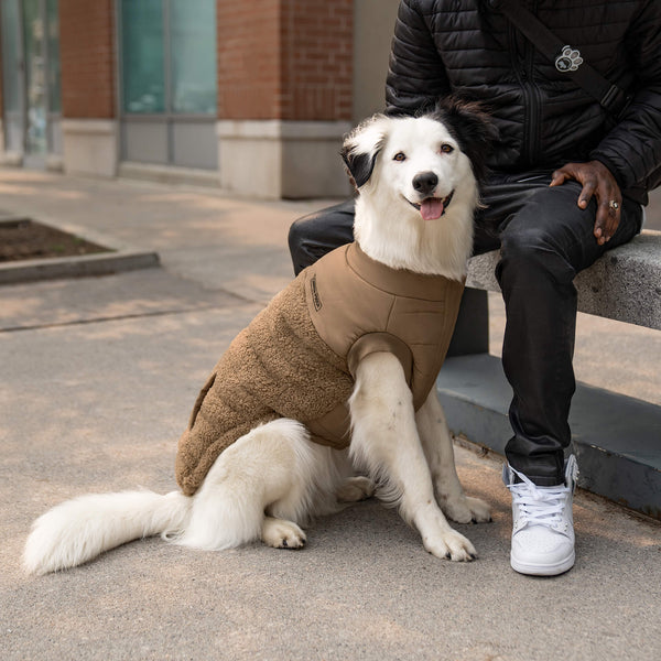 Cool Factor Sherpa Dog Coat Canada Pooch cool-factor-sherpa-dog-coat-canada-pooch