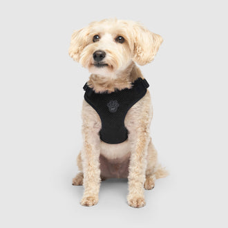 Easy-On Step-In Harness, Canada Pooch Dog Harness|| color::black||size::M|| name:: Max the Westiepoo|| weight::20