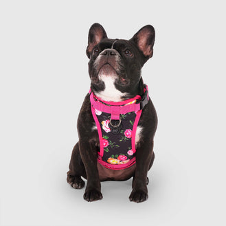 The Everything Harness Water-Resistant Series in Floral, Canada Pooch, Dog Harness