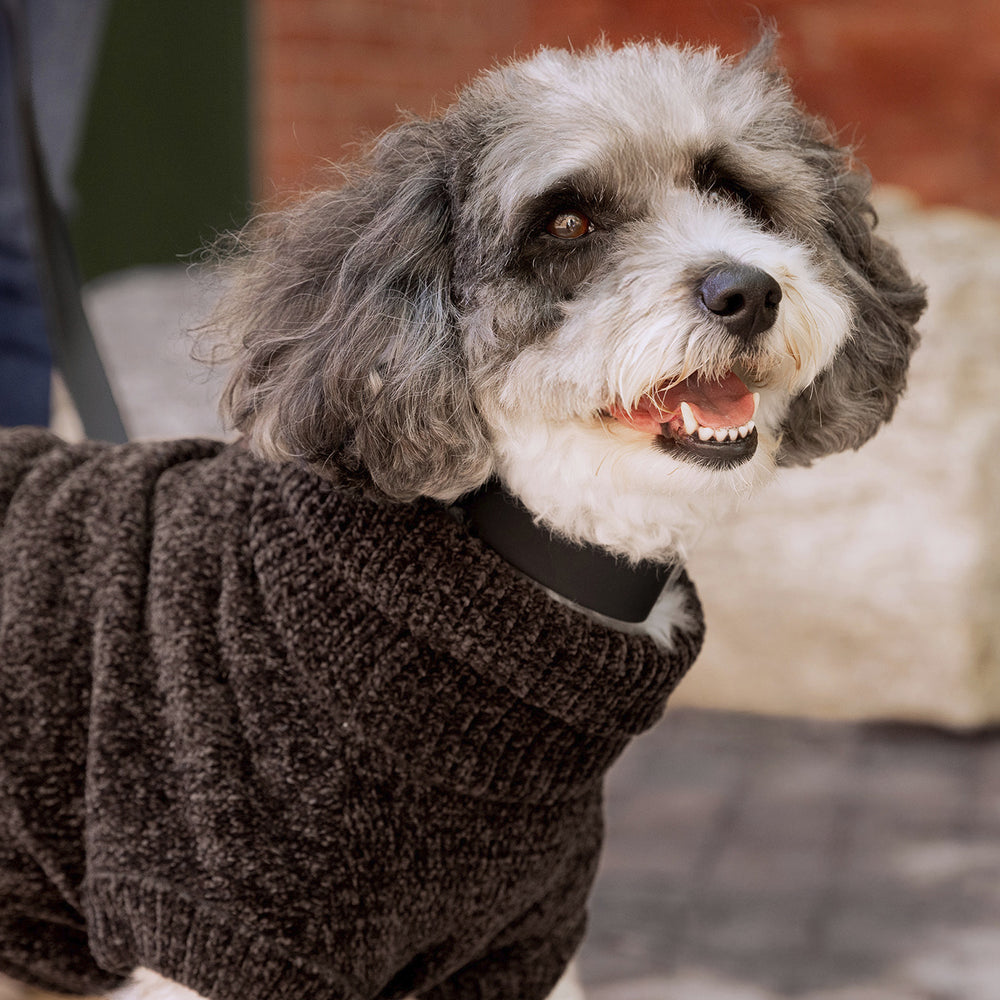 Soho Sweater Espresso