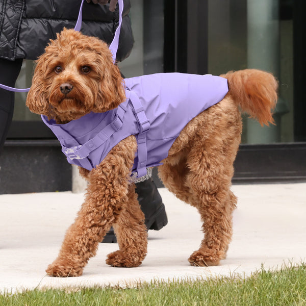 Image showcasing 2-in-1 Dog Harness Raincoat | Canada Pooch