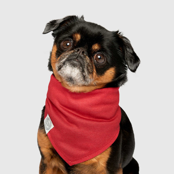 Dog Holiday Bandana Scarf | Canada Pooch
