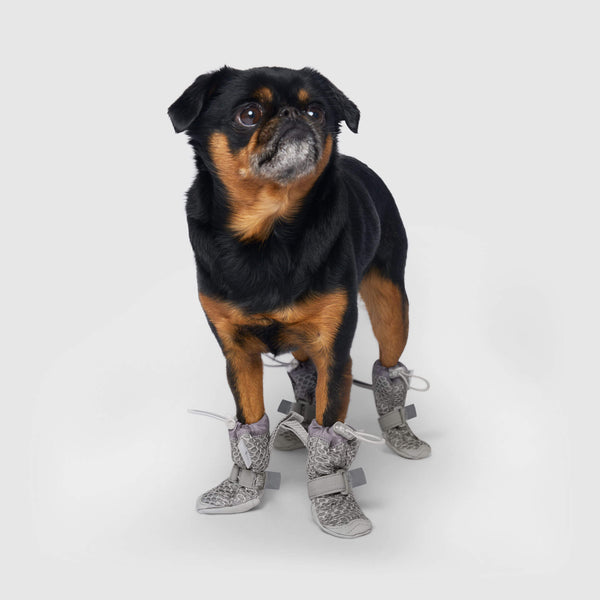 Summer Dog Boots for Hot Pavement Canada Pooch