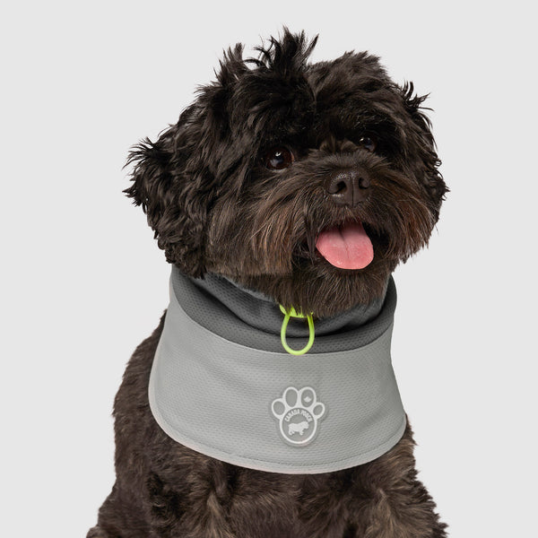 Max Chill Cooling Dog Snood | Canada Pooch