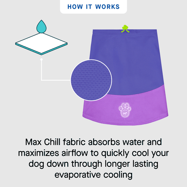 Max Chill Cooling Dog Snood | Canada Pooch