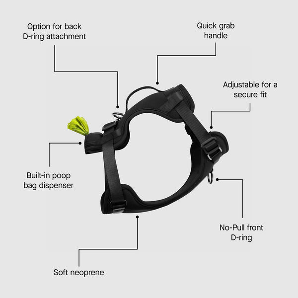 NeopreneDogWallking_Harness_Bl