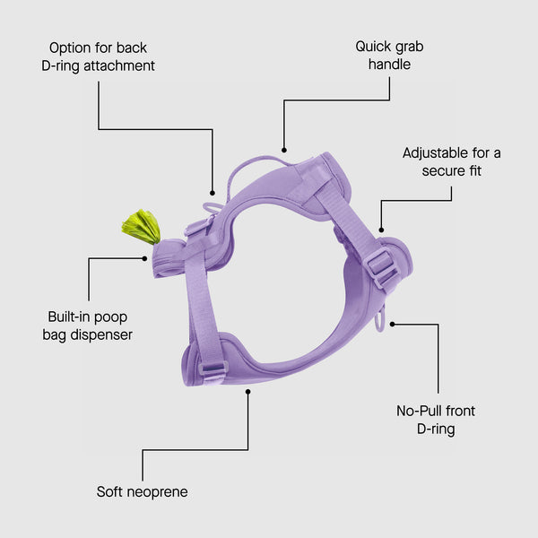 NeopreneDogWallking_Harness_La