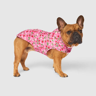Pick Me Poncho in Strawberry, Canada Pooch Dog Raincoat