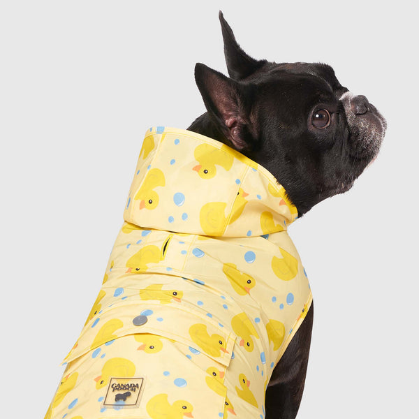 Canada pooch expedition raincoat fashion