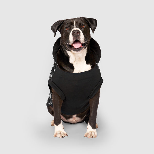 Boston terrier dog on sale clothes