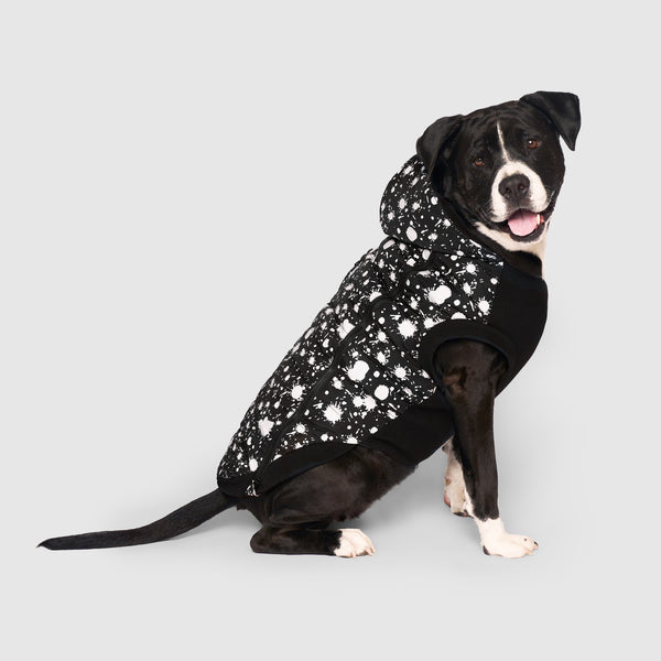 Prism Puffer Dog Jacket | Canada Pooch