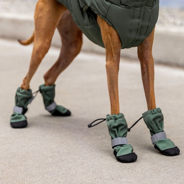 Anti digging dog boots best sale