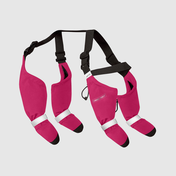 Suspender Dog Boots Canada Pooch