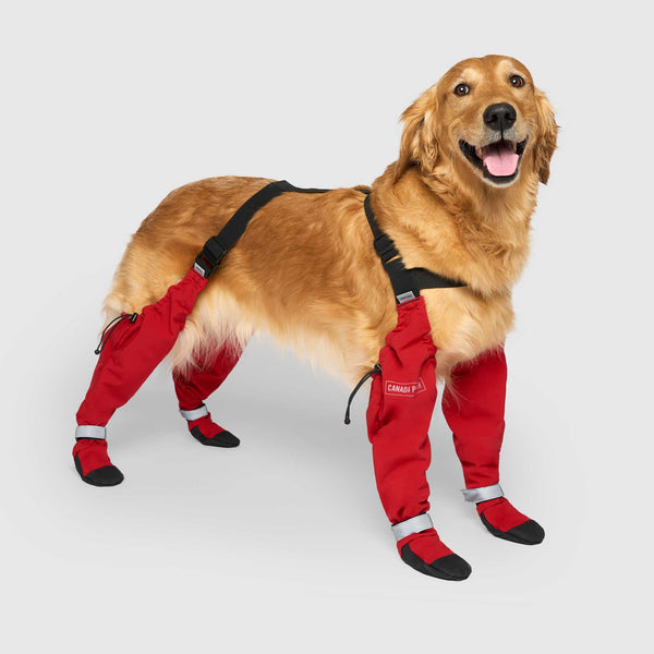 Aazon.co : Idepet Dog Suspender Boots, Tall Dog Boots Anti-Slip