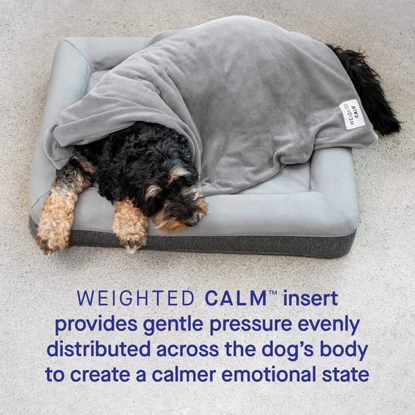 Weighted Blanket For Dogs Canada Pooch - Main Image
