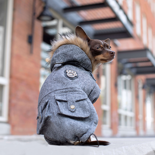 Parka 2025 for dogs