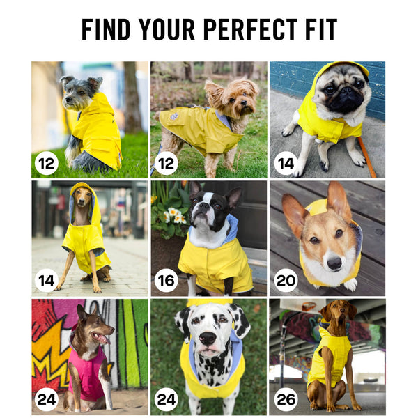 Torrential Tracker Cute Dog Raincoat Canada Pooch