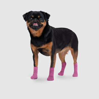 The Basic Sock in Pink, Canada Pooch Dog Socks