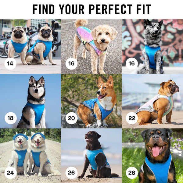 Chill Seeker Dog Cooling Vest Canada Pooch