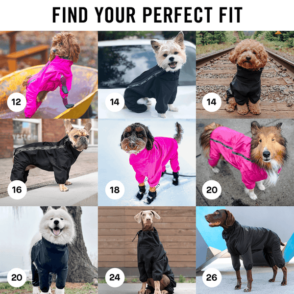 Dog dry shop suit
