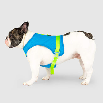 The Chill Seeker Cooling Harness in Blue Green, Canada Pooch Dog Harness 