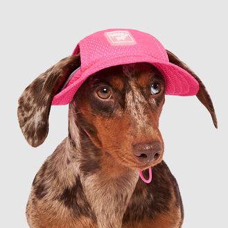 Chill Seeker Cooling Hat in Pink, Canada Pooch Dog Hat