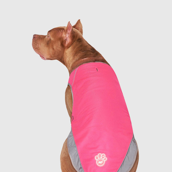 Factory Wholesale Pet Cooling Vest Evaporative Microperforation Dog Cool  Coat - China Dog Evaporative Vest and Dog Cooling Vest price