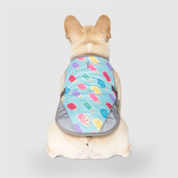 Chill Seeker Dog Cooling Vest Canada Pooch