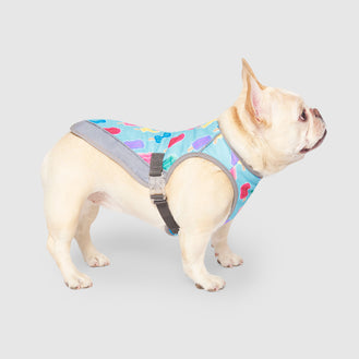 Chill Seeker Cooling Vest in Popsicle, Canada Pooch Dog Cooling