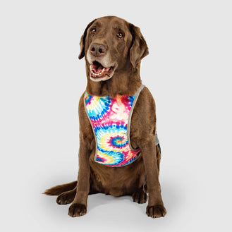 Chill Seeker Cooling Vest in Tie Dye, Canada Pooch Dog Cooling Vest