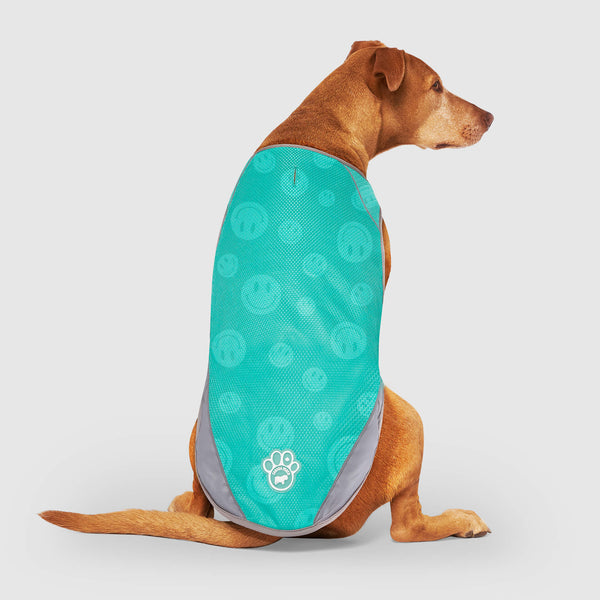 Chill Seeker Dog Cooling Vest Canada Pooch
