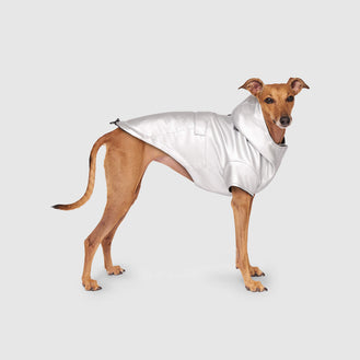 Cold Front Raincoat in Silver, Canada Pooch Dog Coat