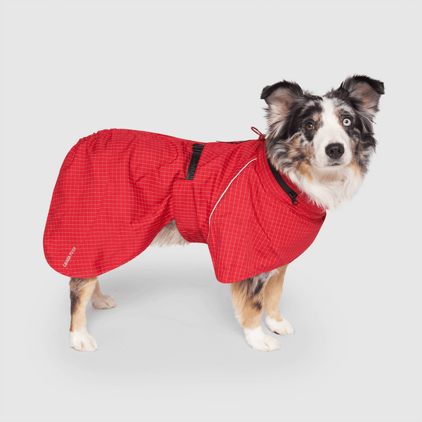 Complete Coverage Dog Raincoat with Hood Canada Pooch