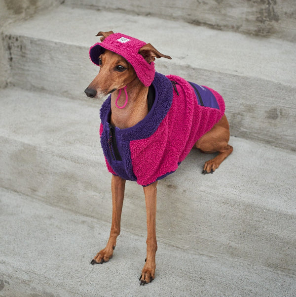 Cooling Sunscreen Small Dog Tshirt with UPF 50+ - Fuchsia Pink – Louie de  Coton