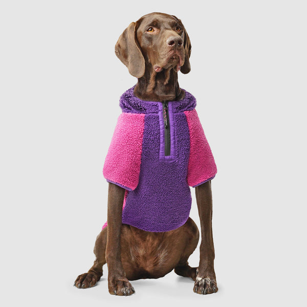 Cool Factor Sherpa Hoodie for Dogs | Canada Pooch