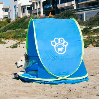 Chill Seeker Cooling Station in Blue, Canada Pooch, Dog Cooling|| color::blue|| size::na