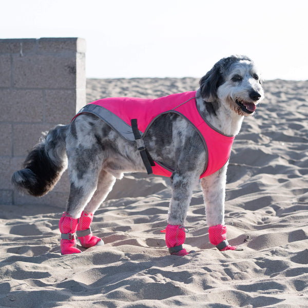 Dog shoes for hot ground Clearance