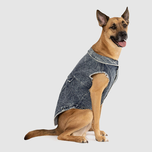 Denim dog outlet clothes