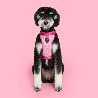 Barbie Everything Harness in Logo Print, Canada Pooch Dog Harness