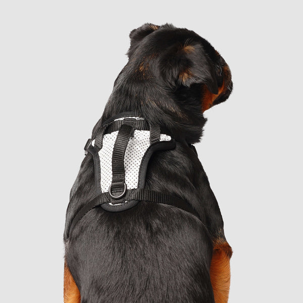 DDOXX Air Mesh Step-in Dog Harness - Adjustable Chest Harness Dogs - XS  (Blue), XS - 0.6 x 12.6-17.3 in - Food 4 Less
