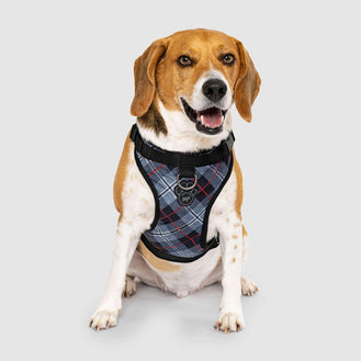 The Everything Dog Harness in Plaid, Canada Pooch Dog Harness 