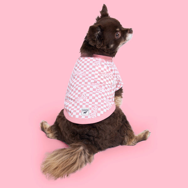 NWT Victoria Secret PINK Small Dog Logo Shirt & Leggings Set! Last One! 